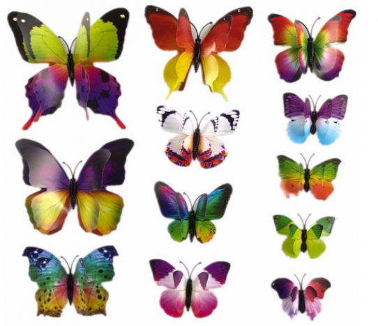 Декоративные бабочки 
